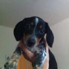 thumbs animaux droles 035 Animaux droles du Jour =) (83 photos)