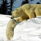 thumbs animaux droles 010 Animaux droles du Jour =) (83 photos)