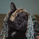 thumbs animaux droles 022 Animaux droles du Jour =) (83 photos)