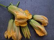 Farcis fleurs courgettes