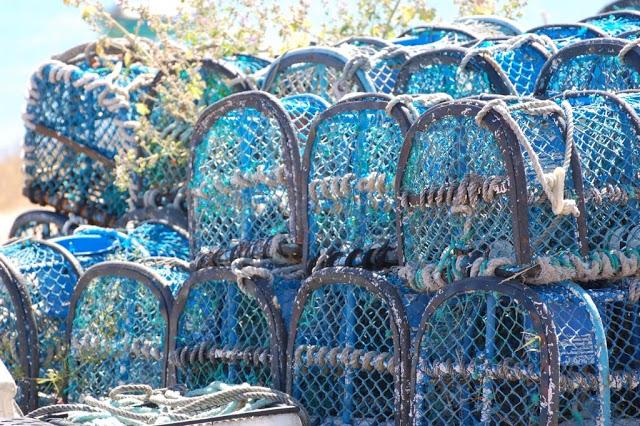 Clic-Clac #7 Nasse, d'ac ?