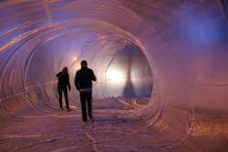 ROSA agathe 2 [800x600]