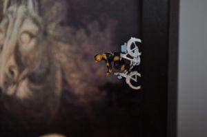 FEDER CLARA [800x600]