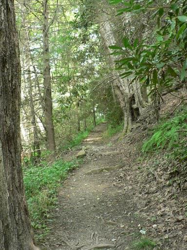 Un Week-End dans les Smokies: Mt Cammerer