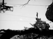 Highline's Highlights