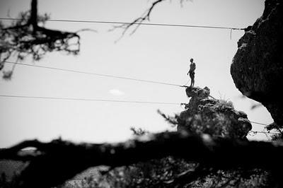 Highline's Highlights