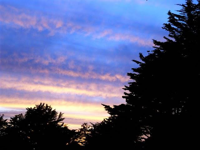 l'été est de sortie...