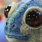 thumbs poupees insolites 003 Des poupÃ©es insolites (17 photos)