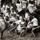 thumbs photos in motion 026 Des Photos in Motion (33 photos)