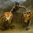 thumbs photos in motion 002 Des Photos in Motion (33 photos)