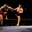 thumbs photos in motion 004 Des Photos in Motion (33 photos)