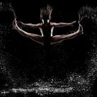 thumbs photos in motion 020 Des Photos in Motion (33 photos)