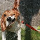 thumbs photos in motion 029 Des Photos in Motion (33 photos)