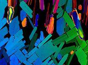 Statistiques étonnantes mais réconfortantes (pour certains)