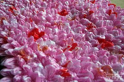 Un bon investissement