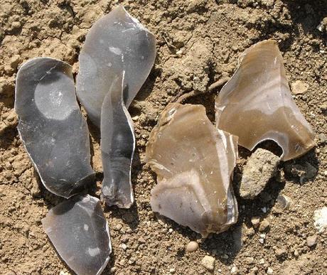 SILEX (Jacques Lacarrière)