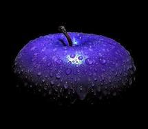 Synchronicity pour iPhone, dispo sur notre repo...