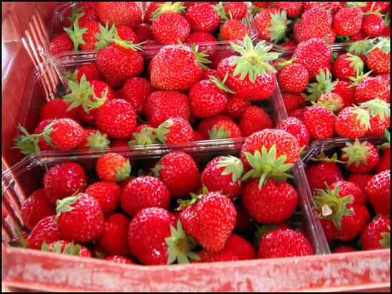 fraises-de-plougastel.1280579388.jpg