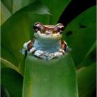 thumbs animaux droles 0019 Animaux drÃ´les Du Jour (76 photos)