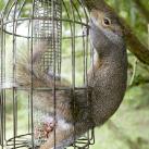 thumbs animaux droles 0034 Animaux drÃ´les Du Jour (76 photos)