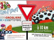 François Grosliere expose Toulouse