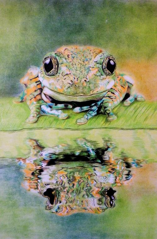 La grenouille et son reflet
