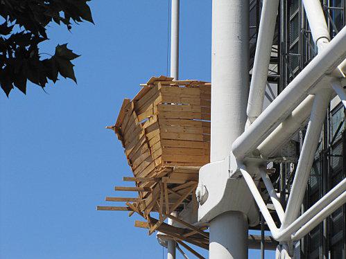 Paris is beautiful 1705