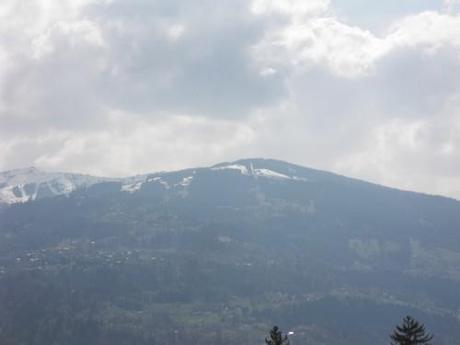 Cham' on me Photo 632.jpg