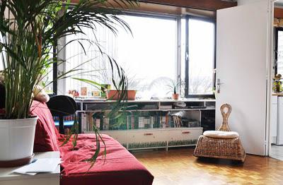 12/08/10, Retour de chez Truffaut avec mes premiers plants potagers...