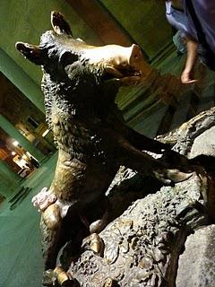 Florence 1/5 (retour anticipé)