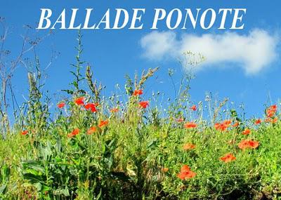 ..Promenons-nous....à Sanziers...