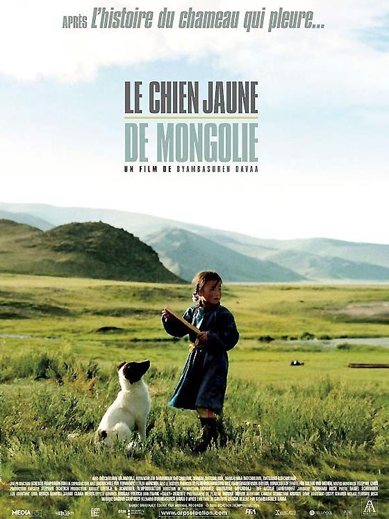 Le chien jaune de mongolie