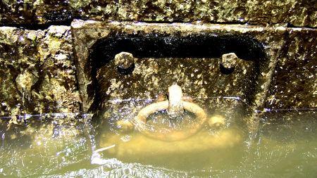 PAS DE VACANCES CET ETE MAIS...