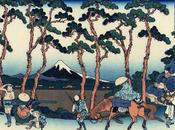 travers pins (Françoise Naudin)