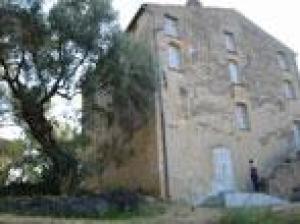 Découverte du domaine des Milelli : Oléiculture et dégustation demain matin 10h à Ajaccio