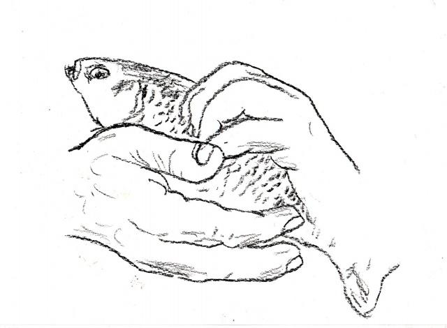 UNE BONNE DEFINITION/ A GOOD DEFINITION