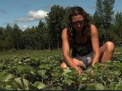 indice humain crise éconimique canadienne