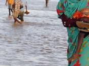 Inondation: visage souffrance Ibrahima Falilou