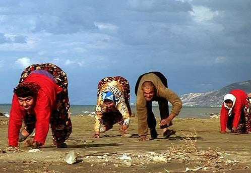 Bienvenue dans le monde des zinzins...