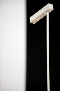 Les jeunes pousses du design