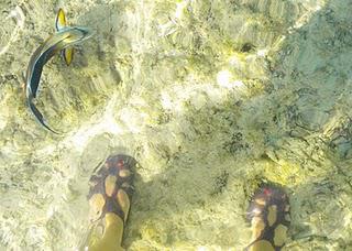 Je suis de retour!!!