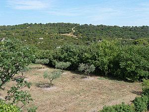 Uzès