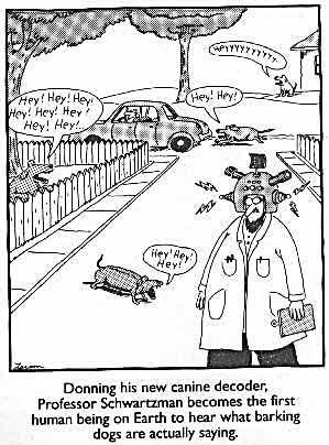 Entiendes Larson ? larson.jpg