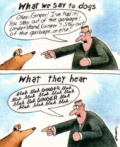 Entiendes Larson ? larson_what_dogs_hear1.jpg