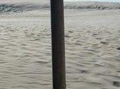 BLEU autre Ile, Différente, plus Sauva...