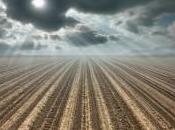 puis fois, veut pas…