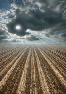 Et puis des fois, la vie veut pas…