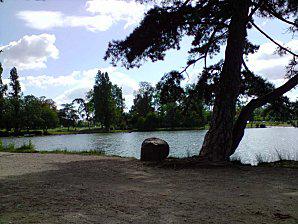 Bois de Vincennes, l'été