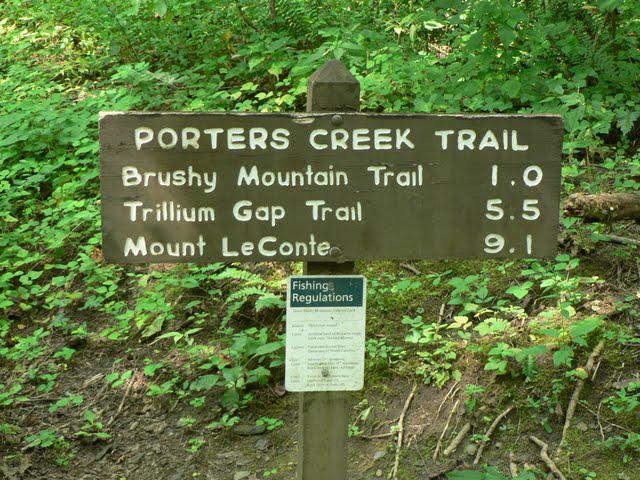 Un Week-End Dans Les Smokies: Porter Creek Trail