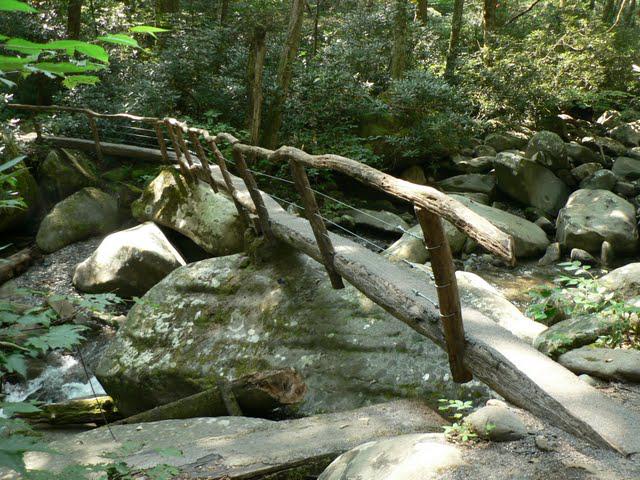 Un Week-End Dans Les Smokies: Porter Creek Trail
